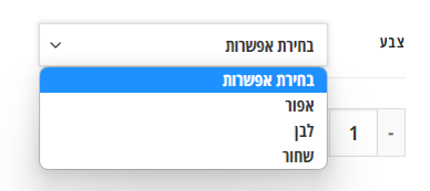 וריאציות בוורדפרס | סטודיו מור יוסף