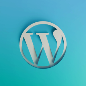 wordpress מה זה: כל מה שאתם צריכים לדעת מא' עד ת' | סטודיו מור יוסף